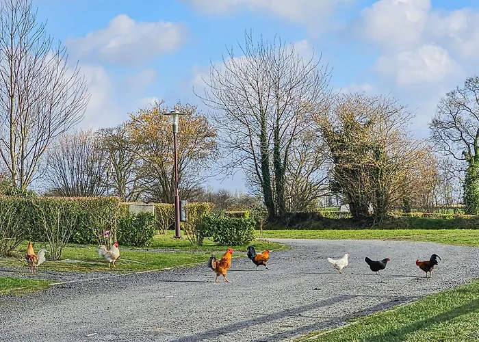 Camping Mobil 8 Personnes Confort & Tranquillite